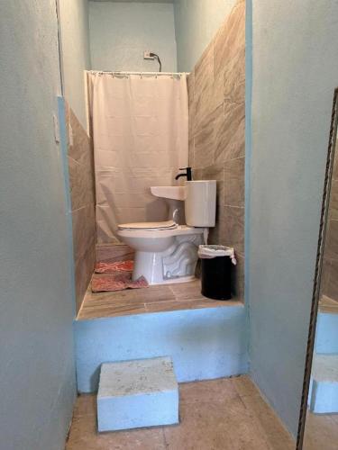 圣胡安Economic Studio in Santurce Area, Up to 4 guests的一间带卫生间和淋浴的浴室