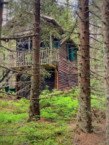 普拉哈季采VLES chata uprostřed lesa的古老的小木屋,在树林中设有阳台