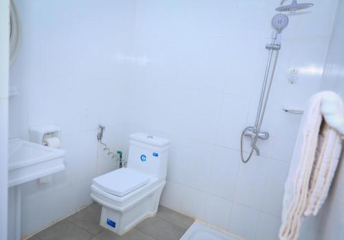 科纳克里HÔTEL MARIADOR PARK的白色的浴室设有卫生间和淋浴。