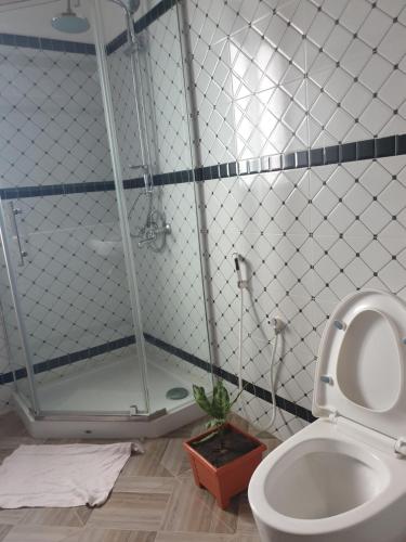 马林迪RAKA HOLIDAY HOMES的带淋浴和卫生间的浴室