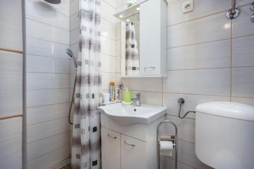 茨里克韦尼察Villa Dora ##3的一间带水槽、卫生间和镜子的浴室