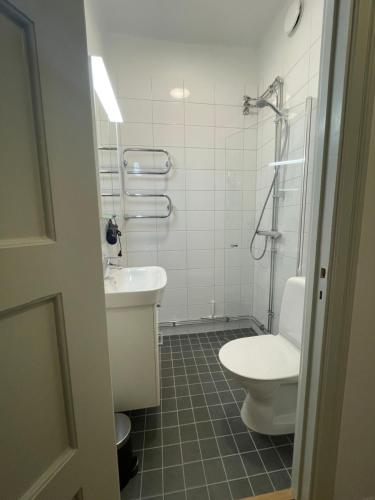 斯德哥尔摩Libevi 1的一间带卫生间和水槽的浴室