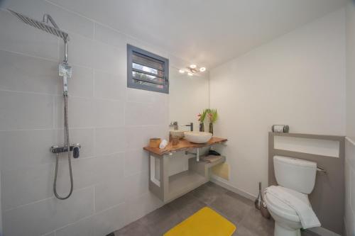 勒拉芒坦Chalet étoilé BAYALOCATION的带淋浴、卫生间和盥洗盆的浴室