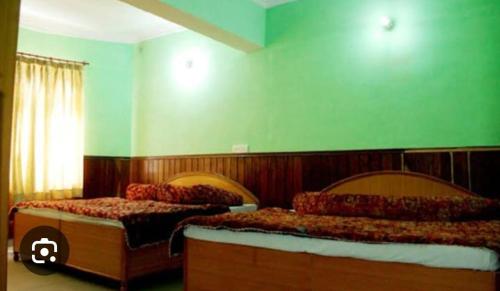 巴德里纳特OM Kutir Badrinath Dham的绿墙客房内的两张床