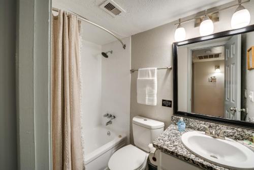 达拉斯Vacation Rental Near Dtwn Dallas with Pool Access!的一间带水槽、卫生间和镜子的浴室
