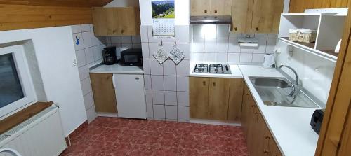 采尔克尼察Apartment Jezerka的小厨房配有炉灶和水槽