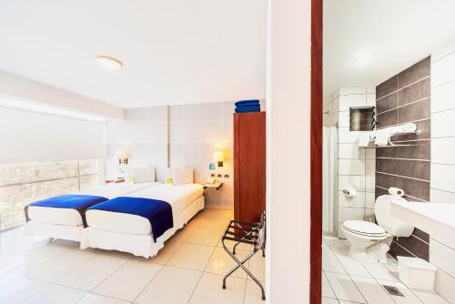 圣克鲁斯圣克鲁斯中心LP酒店 的一间酒店客房 - 带一张床和一间浴室