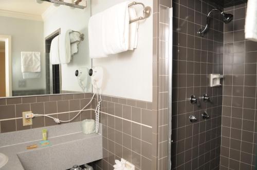 旧金山思域中心汽车旅馆的带淋浴和盥洗盆的浴室