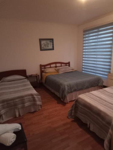 康塞普西翁San Sebastián的一间卧室设有两张床和窗户。
