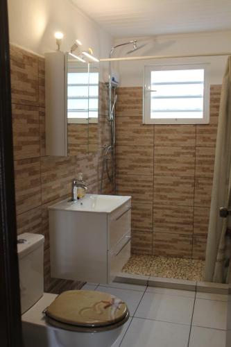 克拉伦代克路德廊 - 博内尔度假屋的浴室配有卫生间、盥洗盆和淋浴。