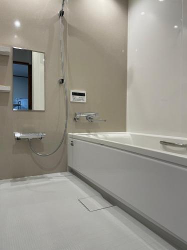 Ikedayadorigi（ヤドリギ）的带淋浴、盥洗盆和镜子的浴室