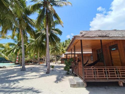 KododaSera Beach Dive Resort的棕榈树海滩上的房子