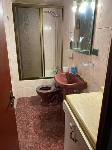 洛斯安第斯Hasta 4 per. dormitorio principal y otro con 2 camas的一间带水槽、卫生间和淋浴的浴室