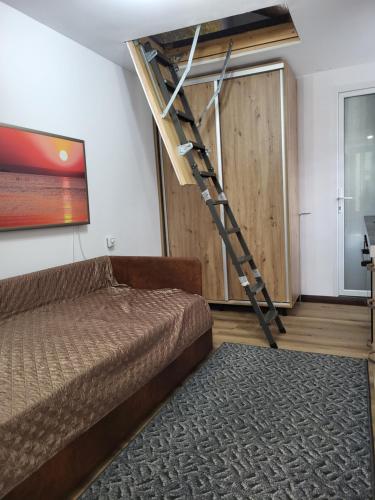 克卢日-纳波卡TinyHouseFaget的卧室配有一张床,房间内设有梯子