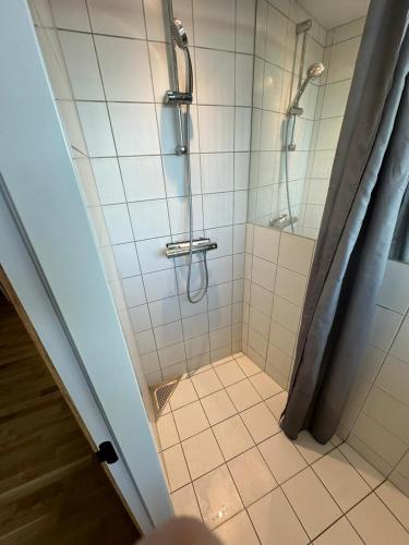 哥本哈根Central apartment Vesterbro的带淋浴和浴帘的浴室