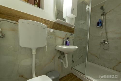 巴伊纳巴什塔BB Sima 1的浴室配有卫生间、盥洗盆和淋浴。