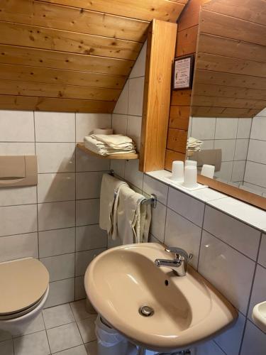 魏勒-锡默贝格Gästehaus Möschel的一间带水槽和卫生间的浴室