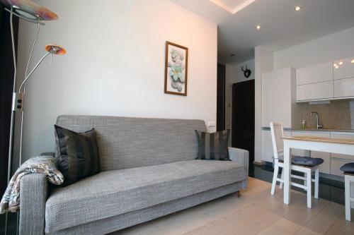 尤尔马拉Cozy apartments in Bulduri的带沙发的客厅和厨房