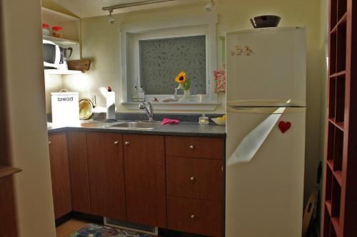 甘奇斯蓟露小屋旅馆的厨房配有白色冰箱和水槽