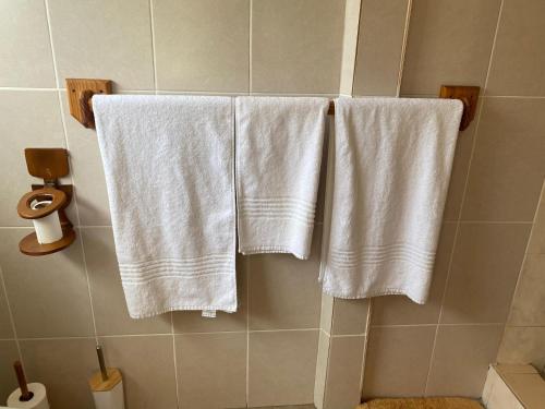 KingsmeadPristine 1 Bed Cottage in Northern suburbs - 2222的浴室墙上挂着三条白色毛巾
