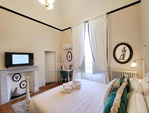 佛罗伦萨纳迪别墅迪颇卡公寓酒店的一间卧室配有一张大床和电视