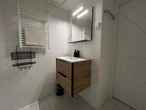 BaaiduinenIt Gasthûs的白色的浴室设有水槽和淋浴。