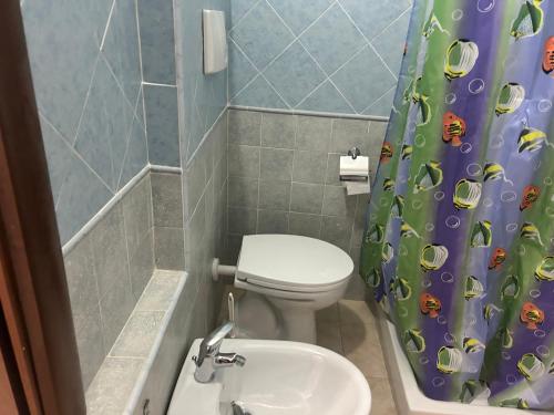 圣阿纳阿雷西Su Nuraghe的浴室设有卫生间、水槽和淋浴帘