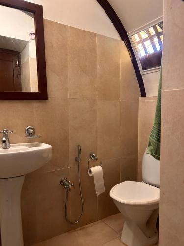 阿勒皮Thara's Houseboat的一间带水槽、卫生间和镜子的浴室