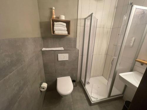 黑尔福德KobyApartment TinyHaus的带淋浴、卫生间和盥洗盆的浴室