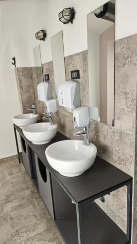 卢布尔雅那阿德霍克青年旅舍的浴室设有3个水槽和2面镜子