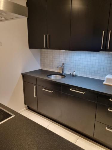 穆尔滕Elegant Suites Murten的厨房配有水槽和黑色橱柜