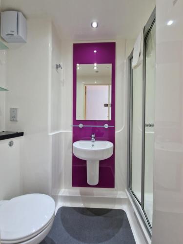 伯明翰Vitality Hotels的一间带水槽、卫生间和镜子的浴室