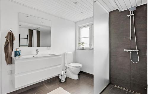 奥特鲁普Amazing Home In Otterup With Kitchen的白色的浴室设有水槽和卫生间。