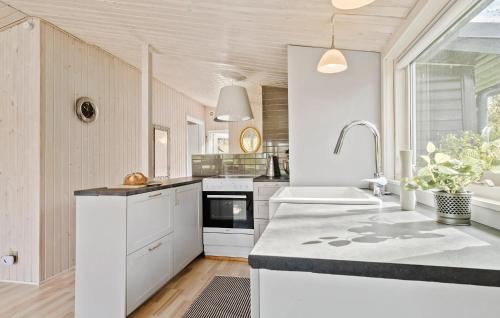 Jægerspris1 Bedroom Stunning Home In Jgerspris的厨房配有白色橱柜和水槽