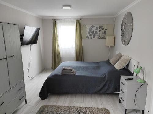 特勒克巴林特Garden Home的一间卧室配有一张带蓝色毯子的床和窗户。