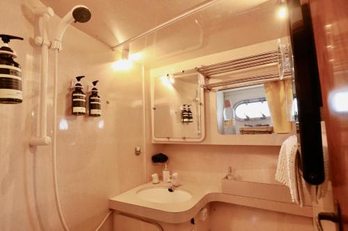 多维尔YACHT DEAUVILLE的一间带水槽和镜子的小浴室