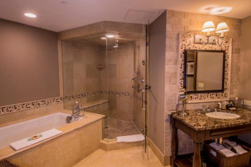 阿斯潘Aspen Mountain Residences, Luxury 2 BR Residence 15,1 Block from Ski Lifts的带浴缸、水槽和淋浴的浴室