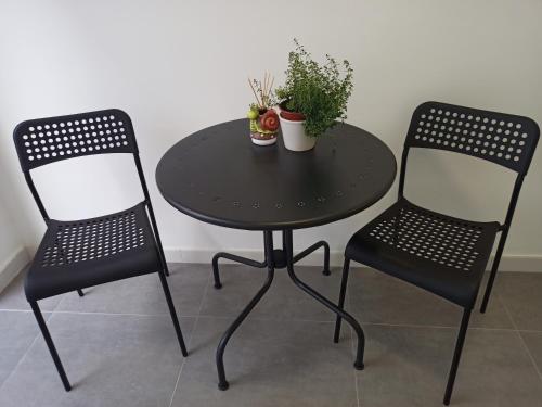 塞维利亚La Casa de Ángela的两张椅子和一张黑色桌子,上面有植物