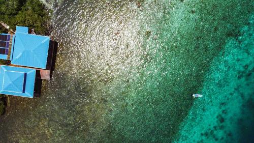 博卡斯德尔托罗Bahia Coral Lodge的水上船只的海洋空中景观