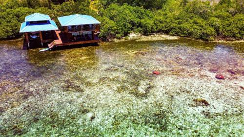 博卡斯德尔托罗Bahia Coral Lodge的池塘的空中景观和房屋