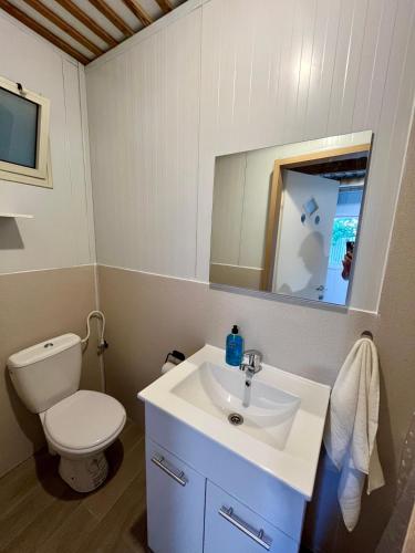 海法Ramban Emerald的一间带卫生间、水槽和镜子的浴室