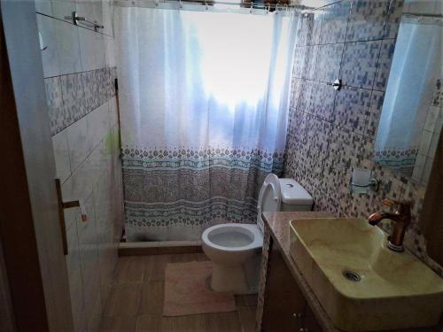雷夫科斯卡尔帕索Pothitis villa的浴室配有卫生间、淋浴和盥洗盆。