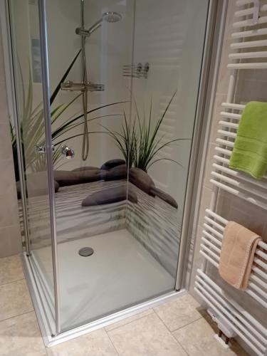 奥伯霍夫豪斯希泽布格公寓的浴室里设有玻璃门淋浴
