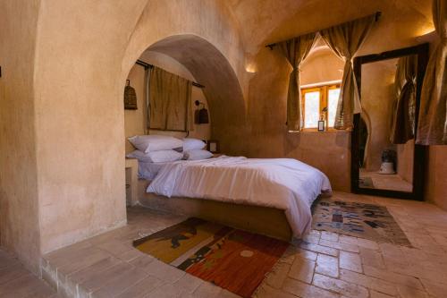 法尤姆Tzila Lodge的一间带一张床铺的卧室,位于带拱门的房间