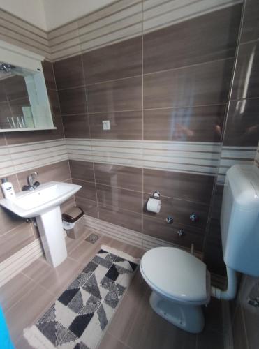 维舍格勒Apartman Mani的一间带卫生间和水槽的浴室