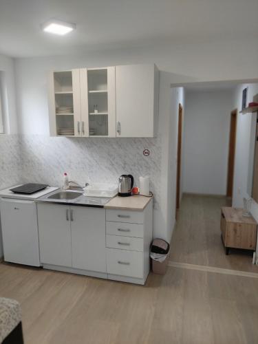 维舍格勒Apartman Mani的厨房配有水槽和台面