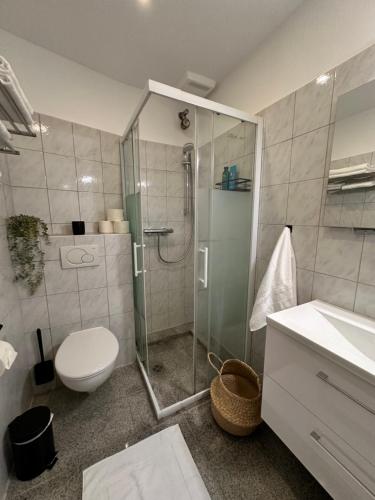 不莱梅Attraktives City Appartement的带淋浴、卫生间和盥洗盆的浴室