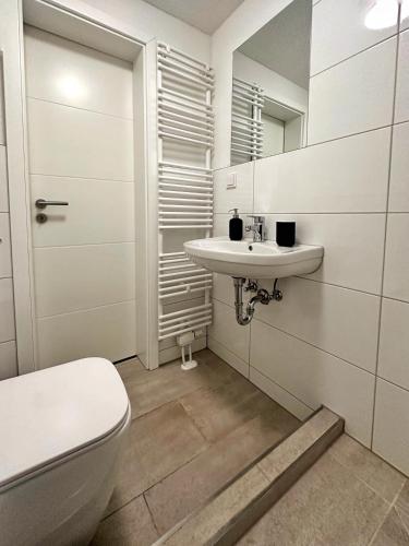 杜塞尔多夫E&K Apartment II的一间带卫生间、水槽和镜子的浴室