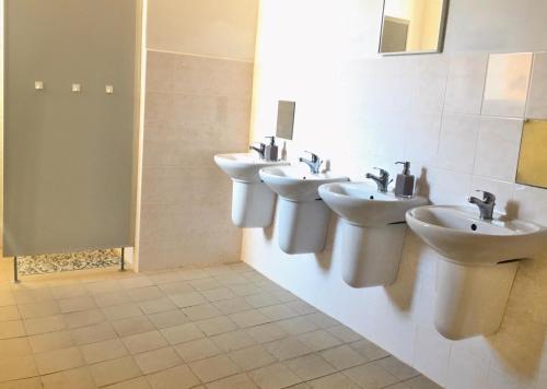 诺夫梅斯托纳马瑞夫Budova U dvojice的浴室设有3个水槽和2面镜子