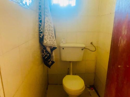 BushenyiLuxury studio apartment by Hope的一间带卫生间和浴帘的小浴室